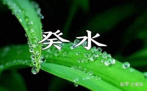 葵水 意思|癸水